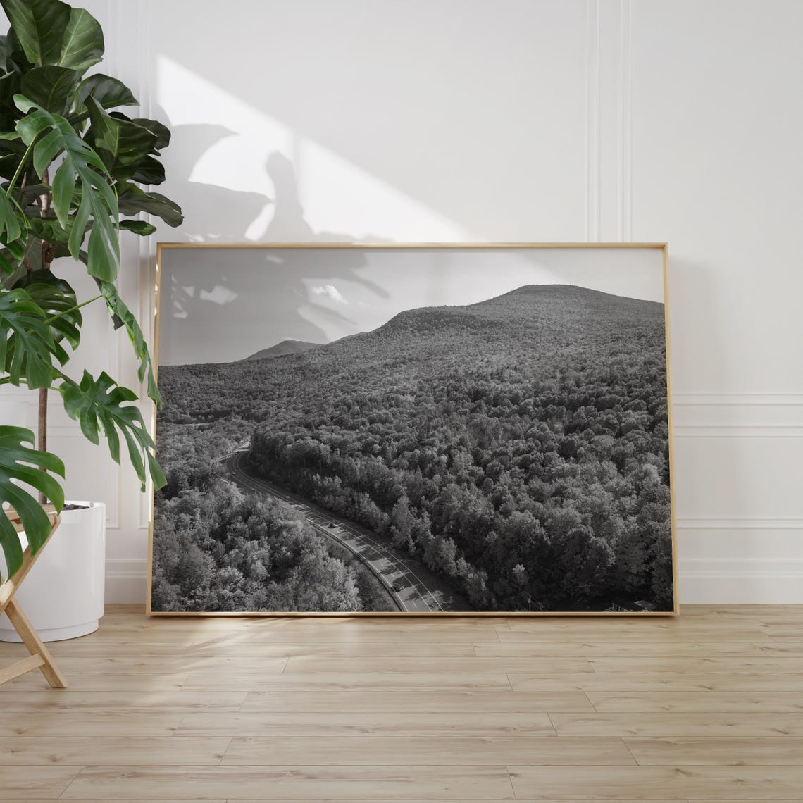 Catskill Mountains Forest and Winding Road Black and White Poster - Image 2