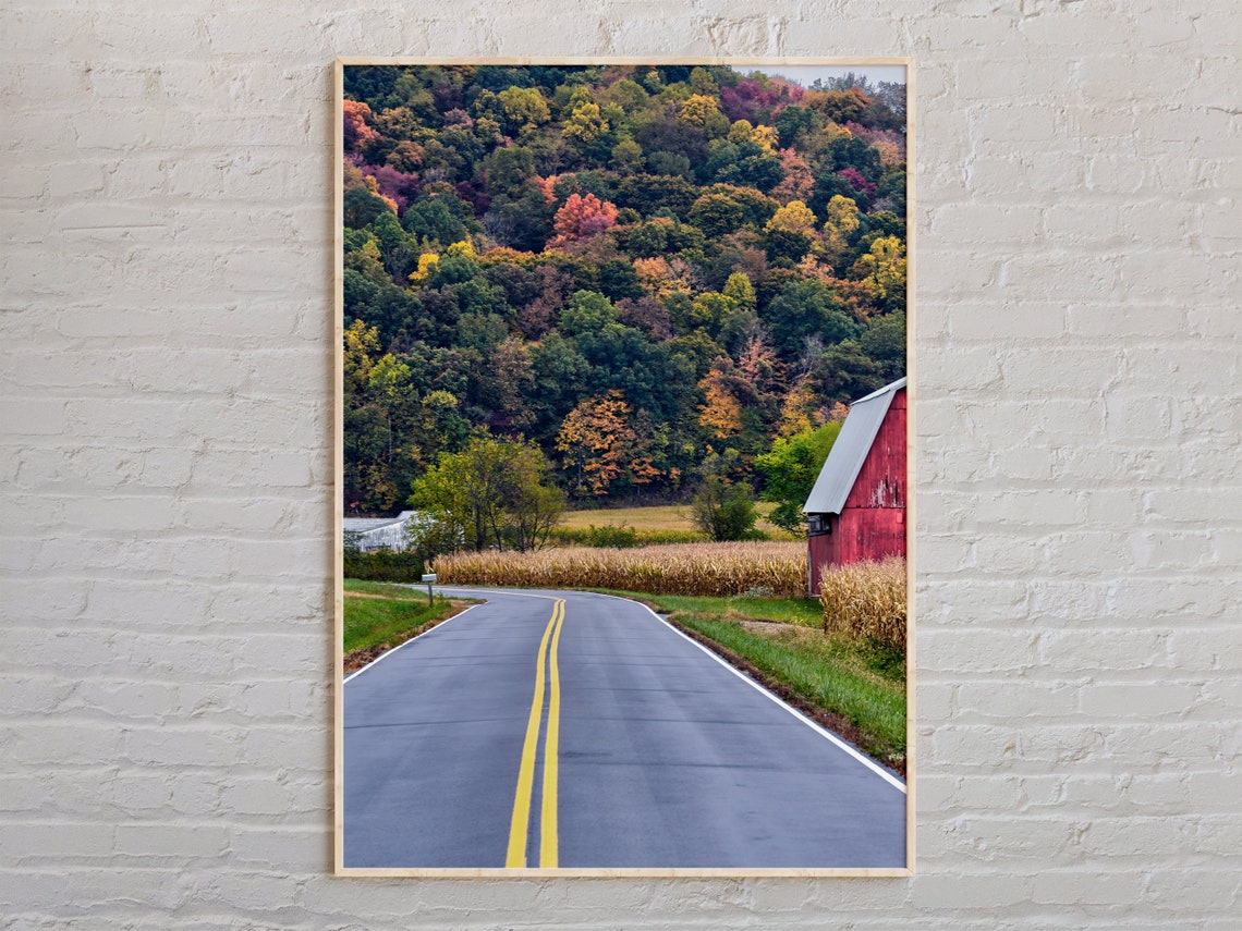 Ohio Autumn Country Road Red Barn Fall Foliage Real Photo Wall Art