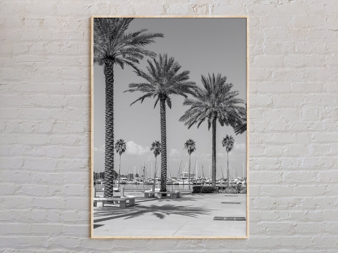 St Petersburg Waterfront Palm Trees Black And White Photo Poster