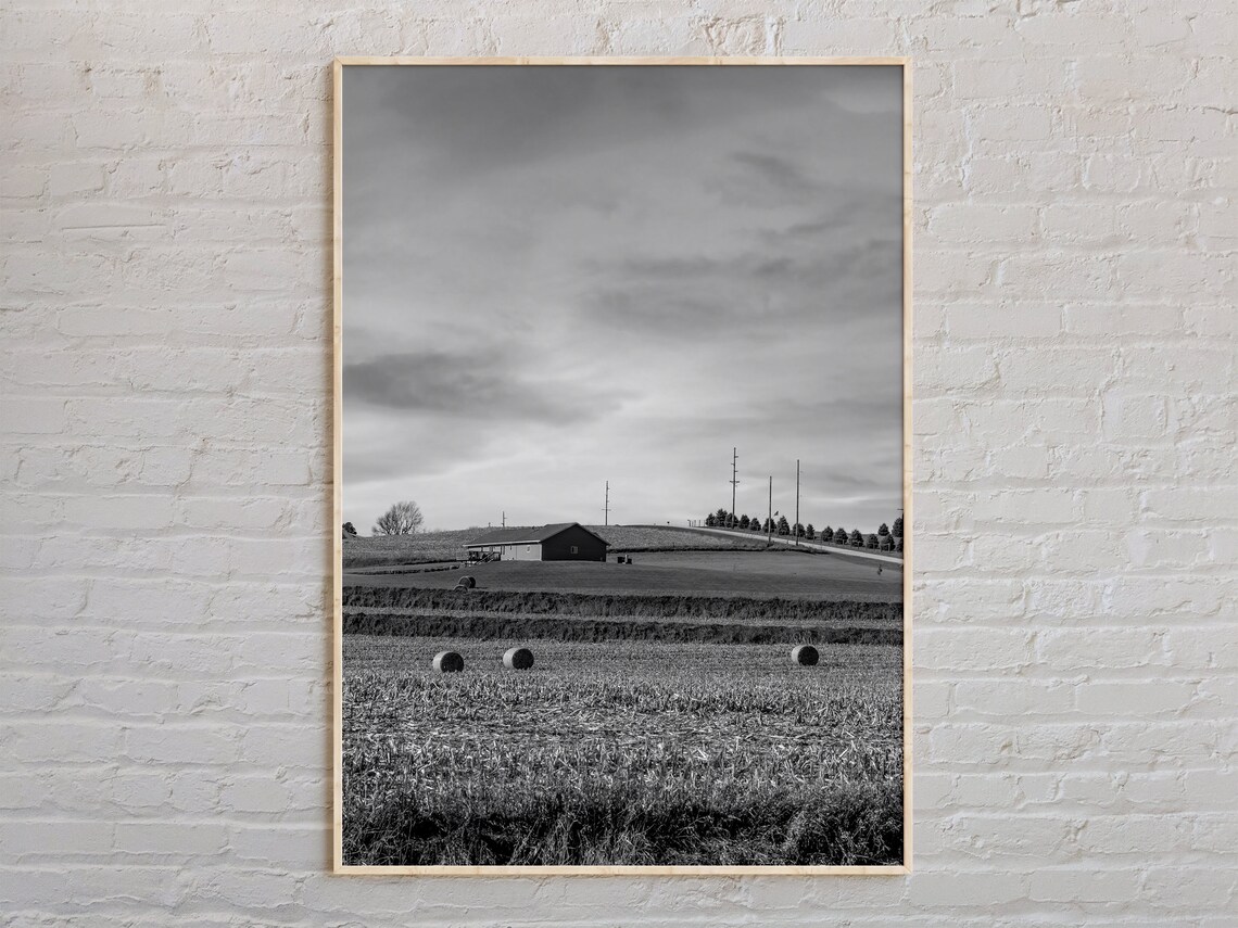 Black and White Iowa Rolling Farm Field Hay Bales Barn Poster