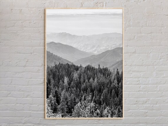 Sequoia National Park Misty Mountains Black White Photo Poster