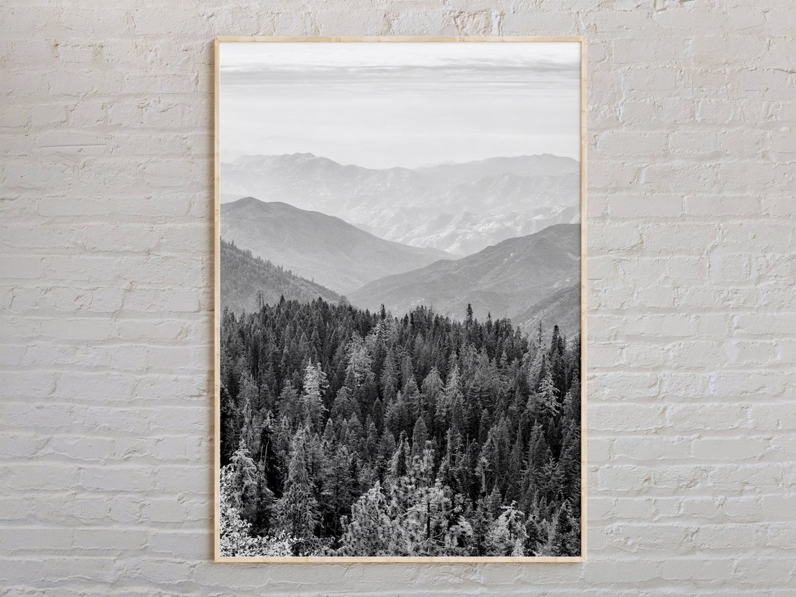 Sequoia National Park Misty Mountains Black White Photo Poster