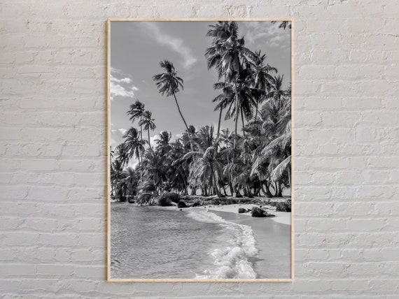 Black And White Panama Print Wall Art Poster Photo Decor Central America