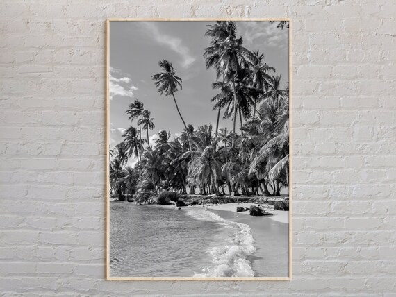 Panama Tropical Palm Beach Black And White Coastal Photo Poster
