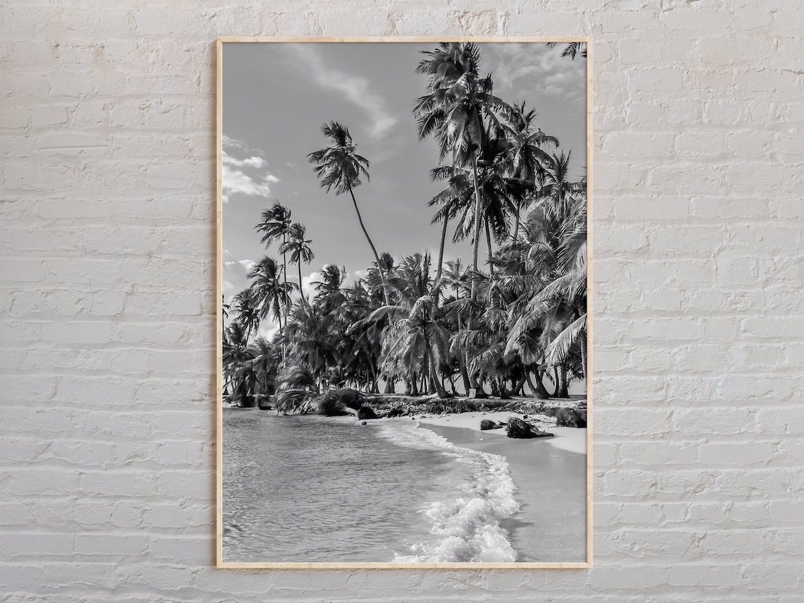 Panama Tropical Palm Beach Black And White Coastal Photo Poster