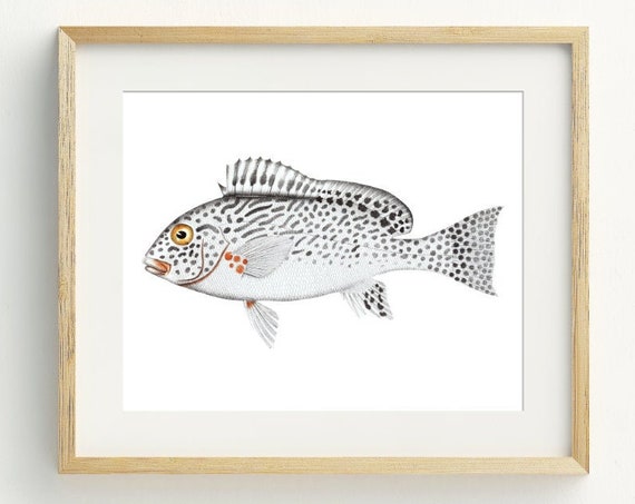 Minimalist Fish Print, Grey Nautical Wall Art