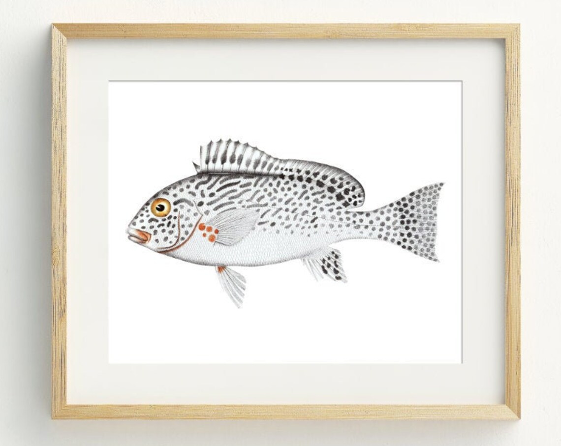 Minimalist Fish Print, Grey Nautical Wall Art