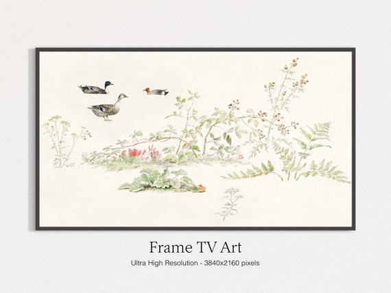 Watercolor Plants and Ducks Vintage Art Print