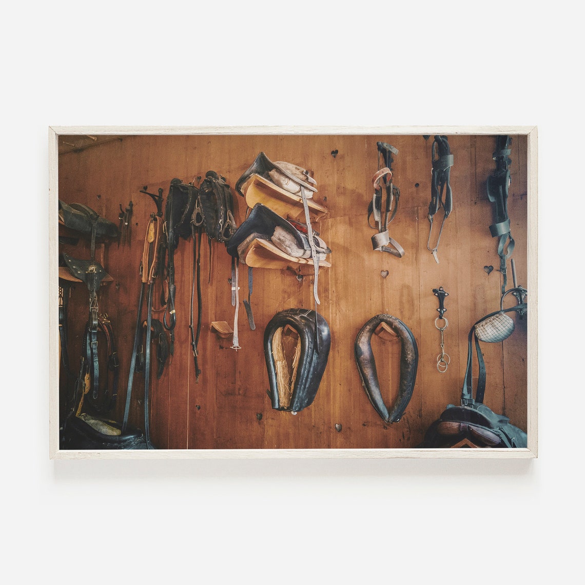 Vintage Saddles and Bridles Hanging in Tack Room Photo Print