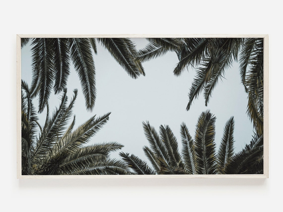 Dark Palm Leaf Canopy Framing A Pale Sky Tropical Photo Poster
