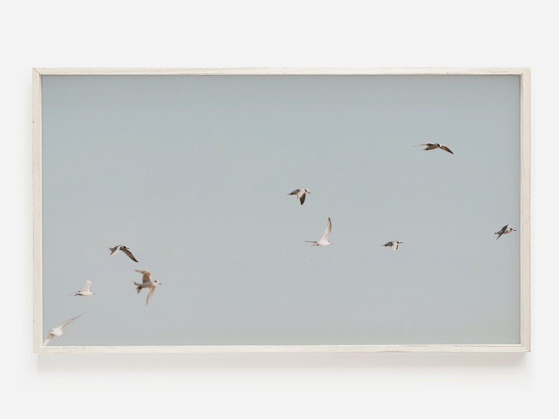 Flock Of Seagulls In Pale Sky Minimal Beach Bird Photo Art Poster