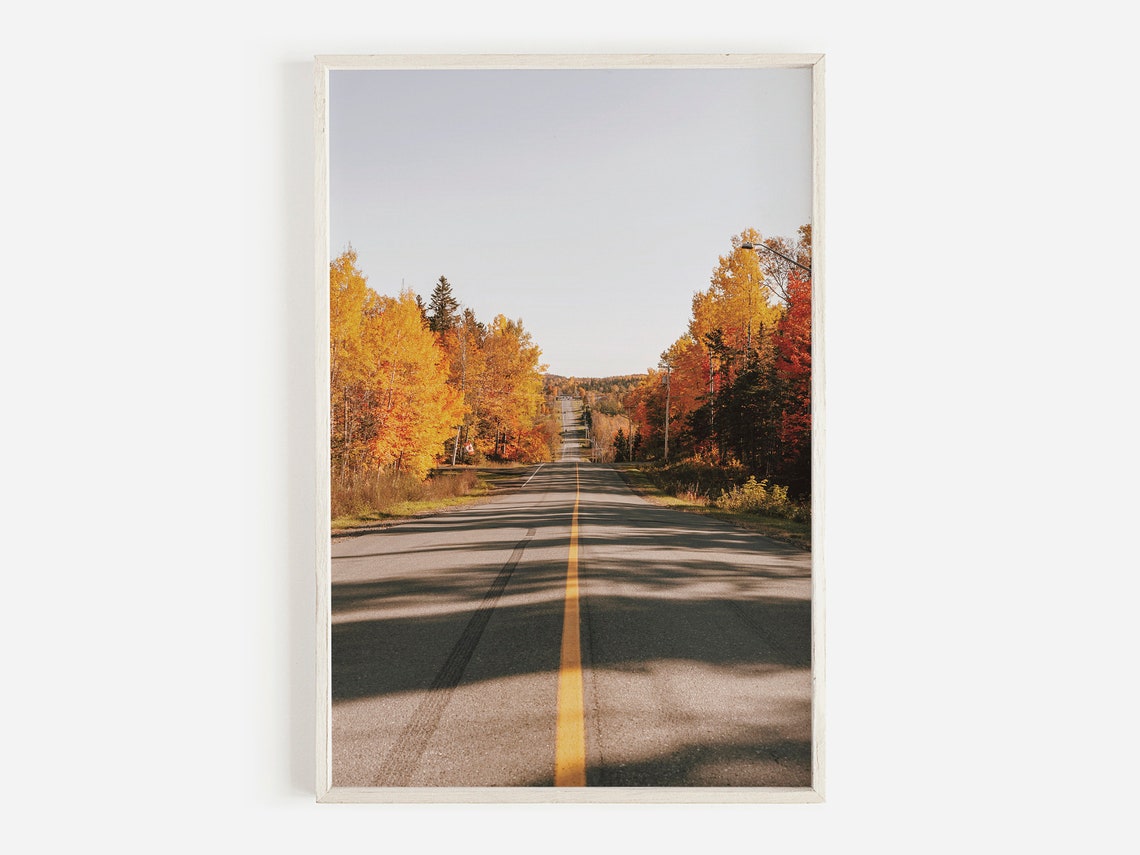 Golden Autumn Road Lined with Fall Foliage Photography Poster