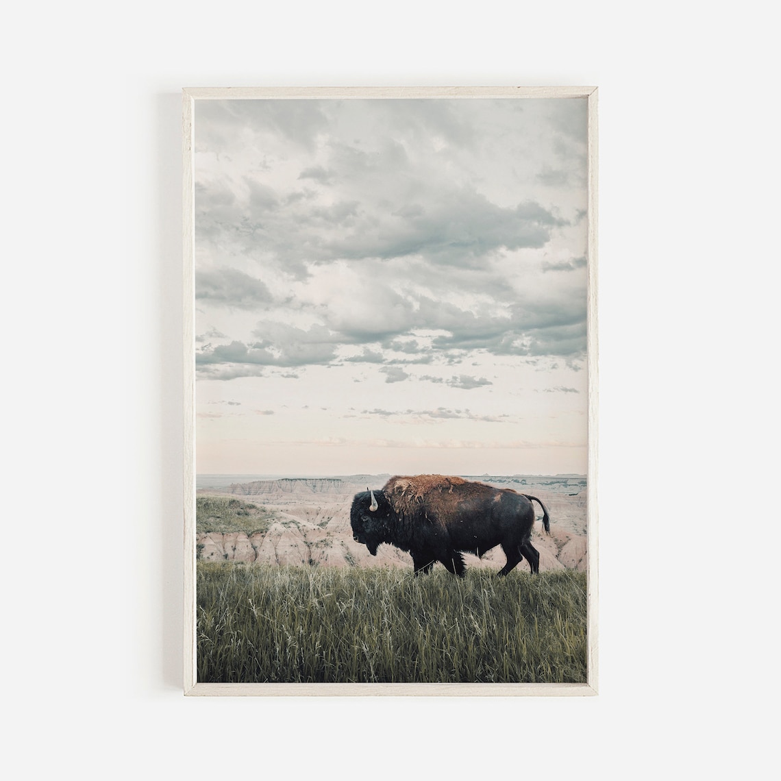 Bison In The Badlands National Park Travel Poster