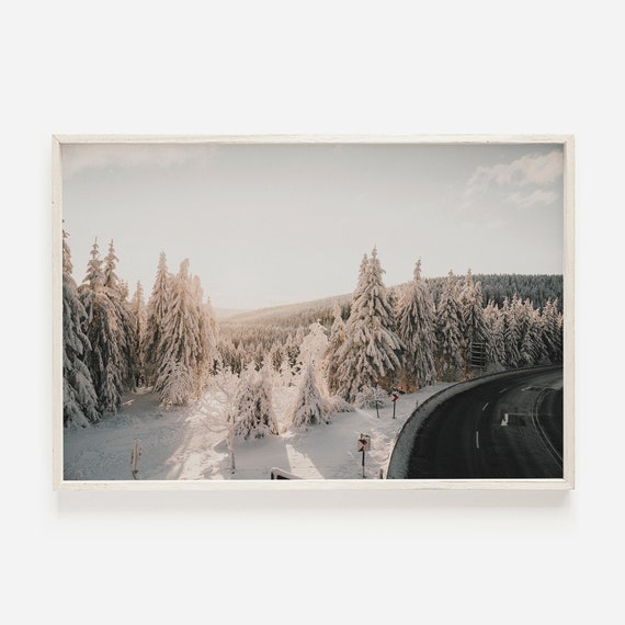 Snowy Forest Wall Art Winter Snow Covered Trees Landscape Pine Photo Print Large