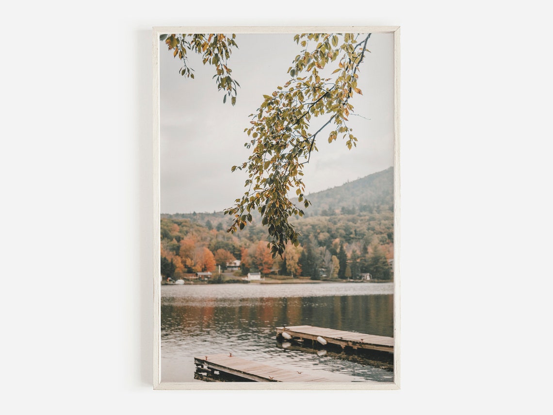 Quiet Lakeside Dock Under Hanging Autumn Tree Branches Poster