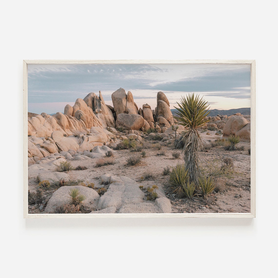 Desert Boulder Field Yucca at Dusk Southwest Landscape Photo Poster