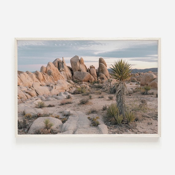 Desert Boulder Field Yucca at Dusk Southwest Landscape Photo Poster