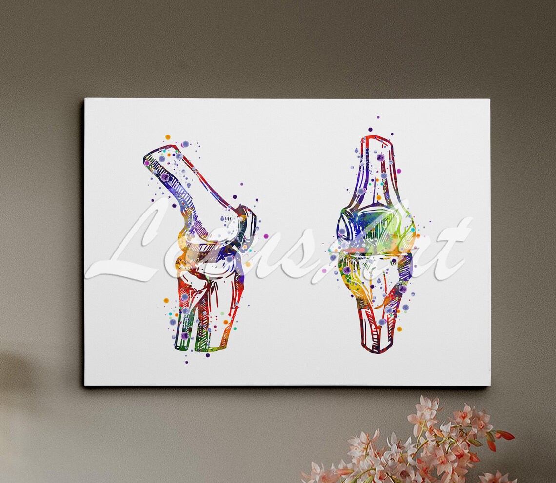 Knee Joint Anatomy Colorful Watercolor Medical Clinic Decor Poster