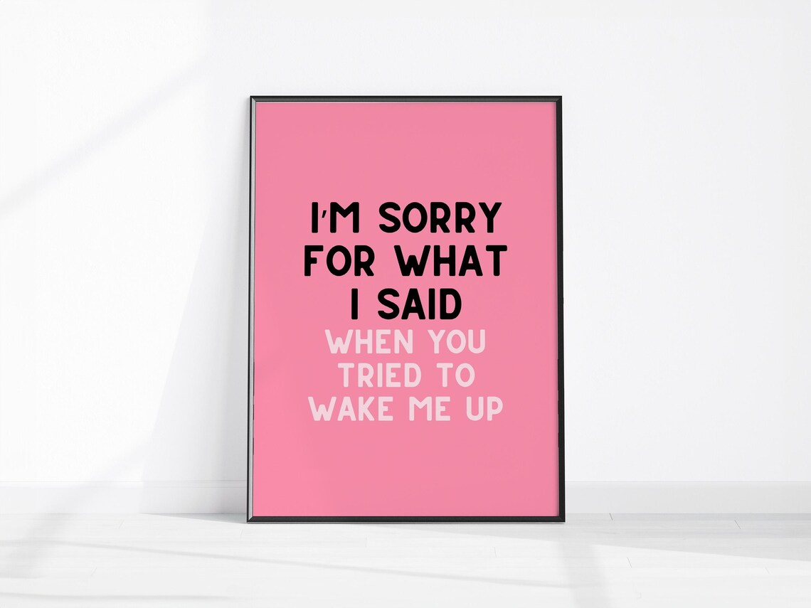 Im Sorry For What I Said When You Tried To Wake Me Up Poster