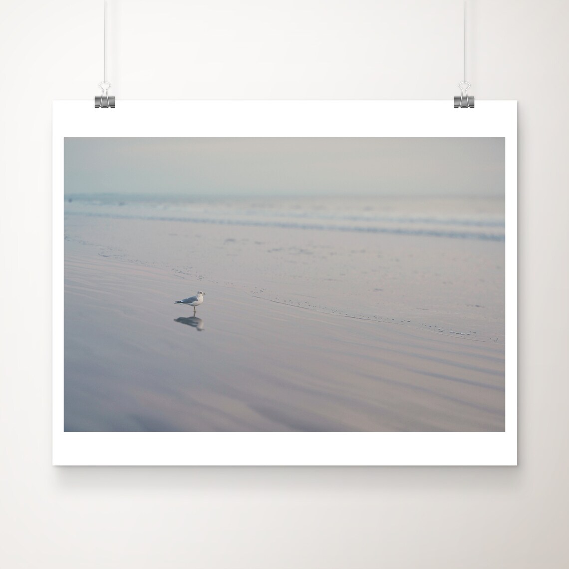 Seagull On Calm Beach Pastel Coastal Wildlife Photo Poster Beach Gift