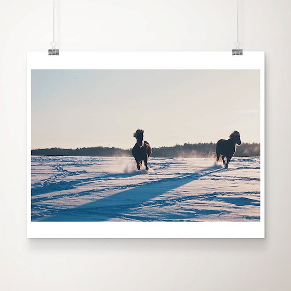 Galloping Horses Running Through Snow Winter Photography Print