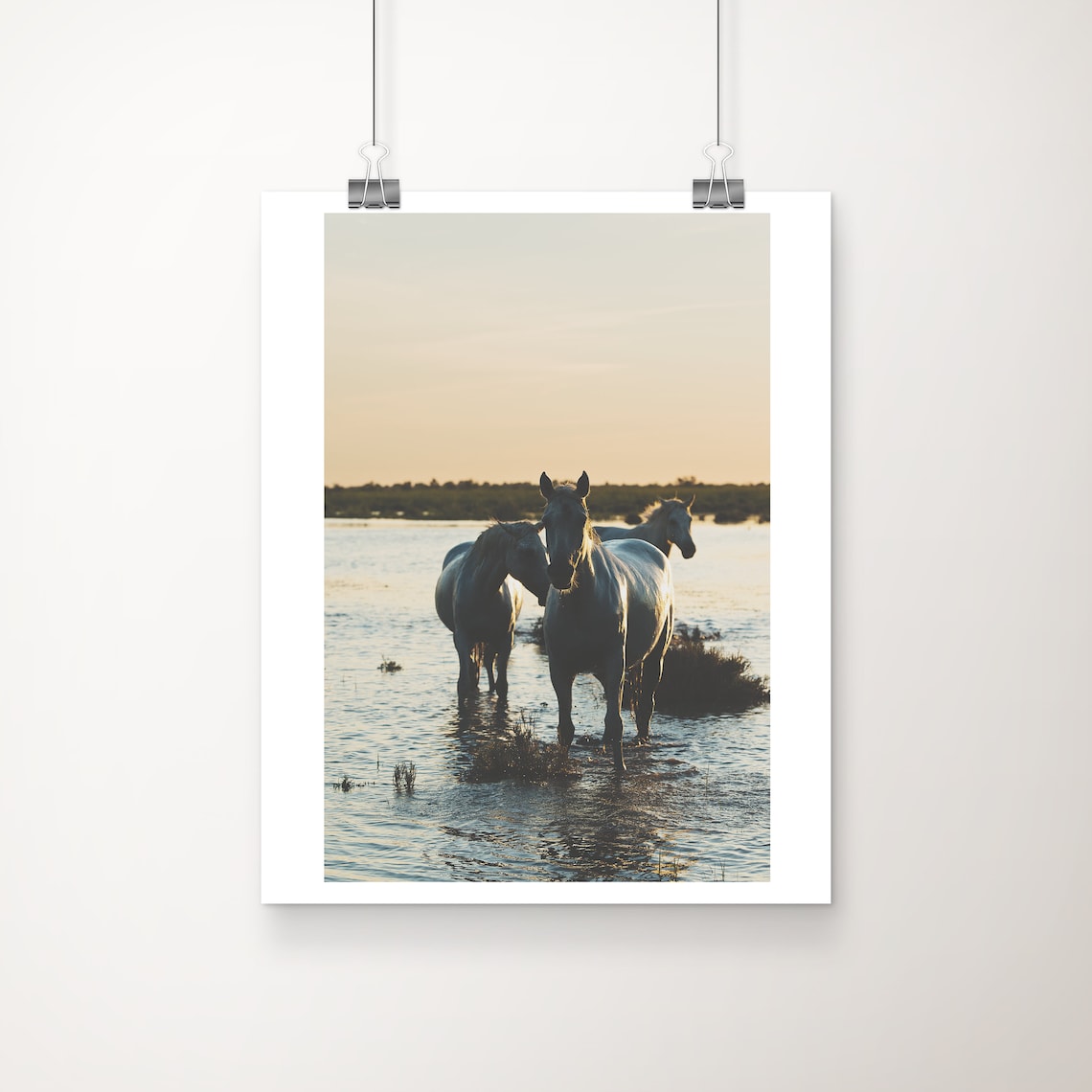 Camargue Horses Photograph, Provence Equestrian Art Print