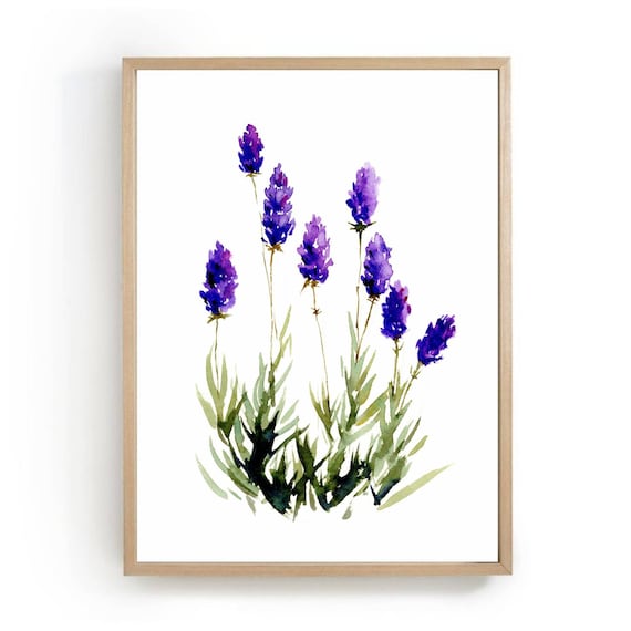 Lavender Watercolor Painting, Farmhouse Wildflowers Poster