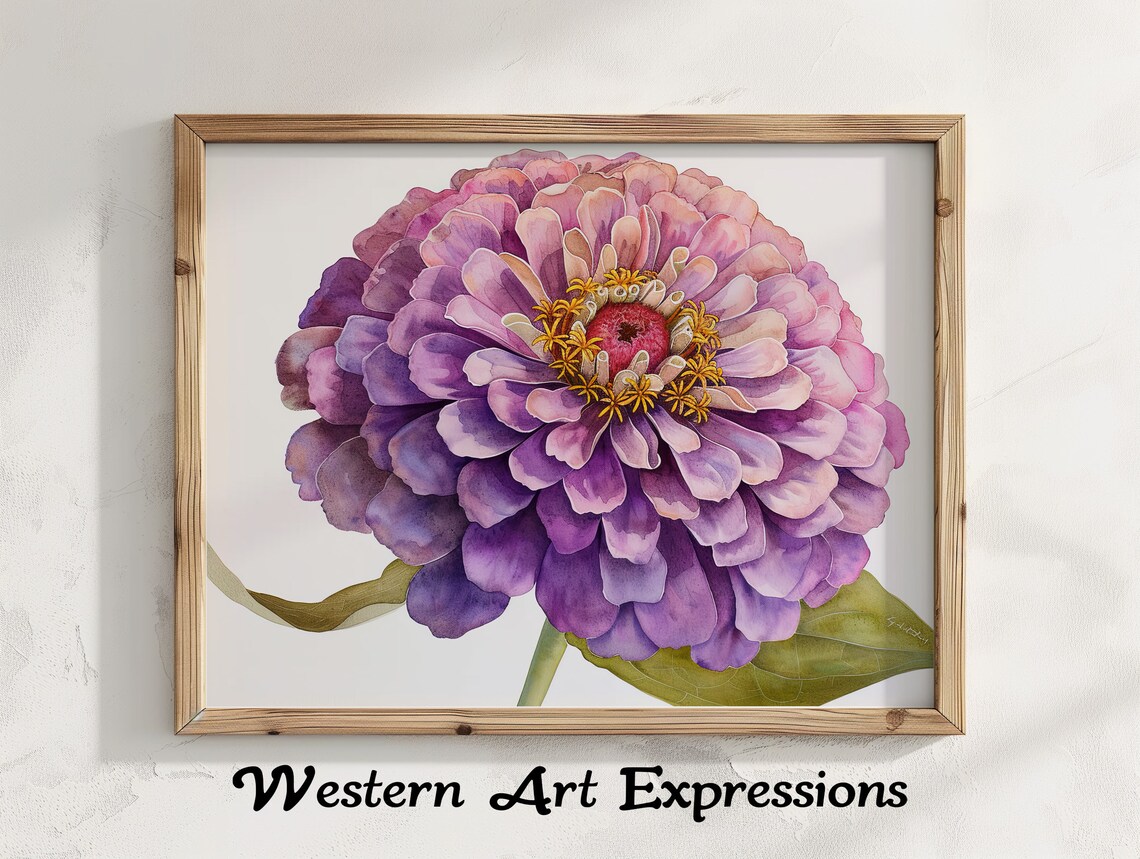 Purple Zinnia Blossom Watercolor Botanical Flower Art Poster