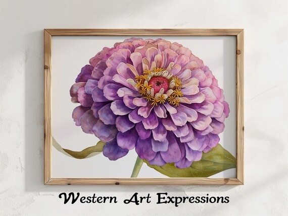 Zinnia Flower Watercolor Illustration Botanical Wall Art Purple Painting Floral Home Decor Print Room Artwork