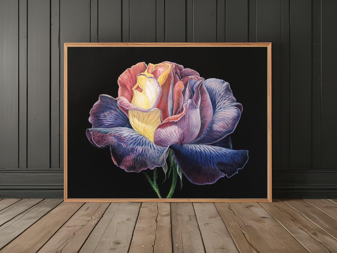 Juliet Rose Side View Striated Petals Purple Yellow Floral Poster - Image 2