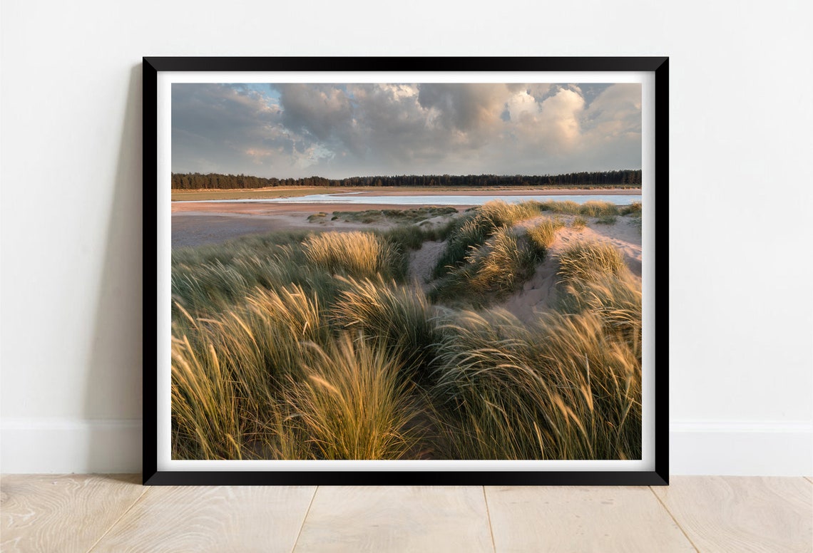 Holkham Beach Norfolk Golden Windswept Dunes Marram Grass Poster