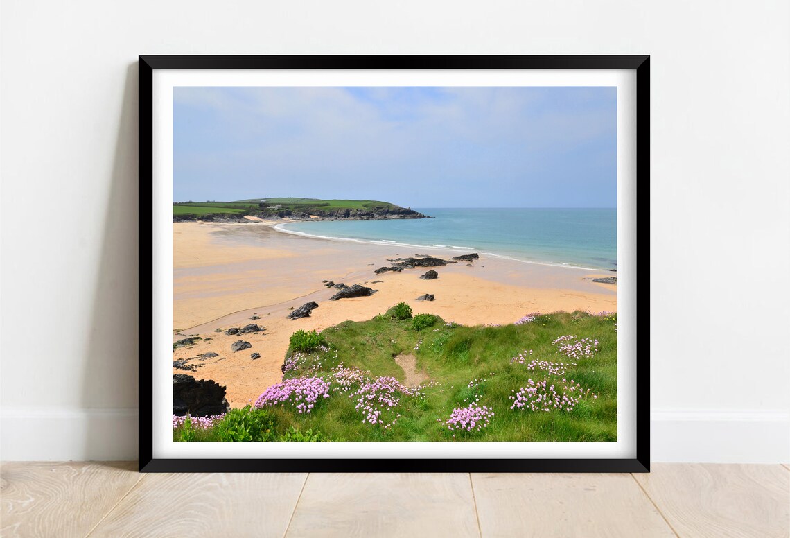 Harlyn Bay Cornwall Golden Beach Sea Thrift Wildflowers Poster