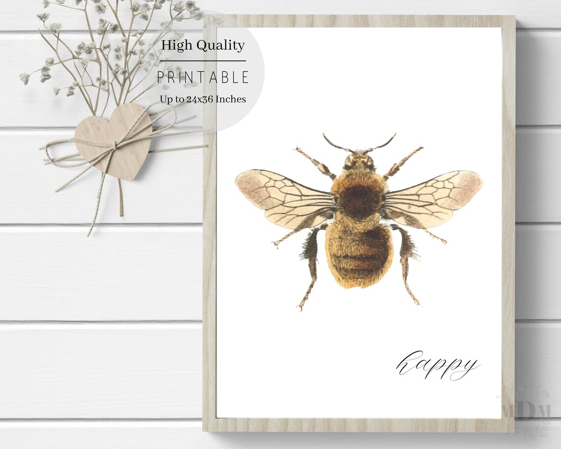 Vintage Bumble Bee Illustration Happy Script White Spring Wall Art Poster - Image 3