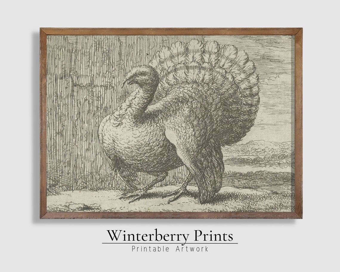 Vintage Thanksgiving Turkey Sketch Art Print - Image 4