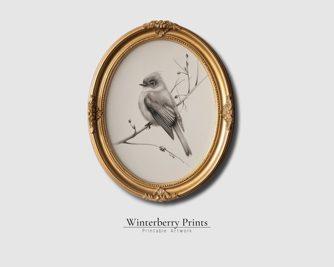 Delicate Pencil Sketch Songbird on Branch Oval Gold Frame Vintage Bird Art Print