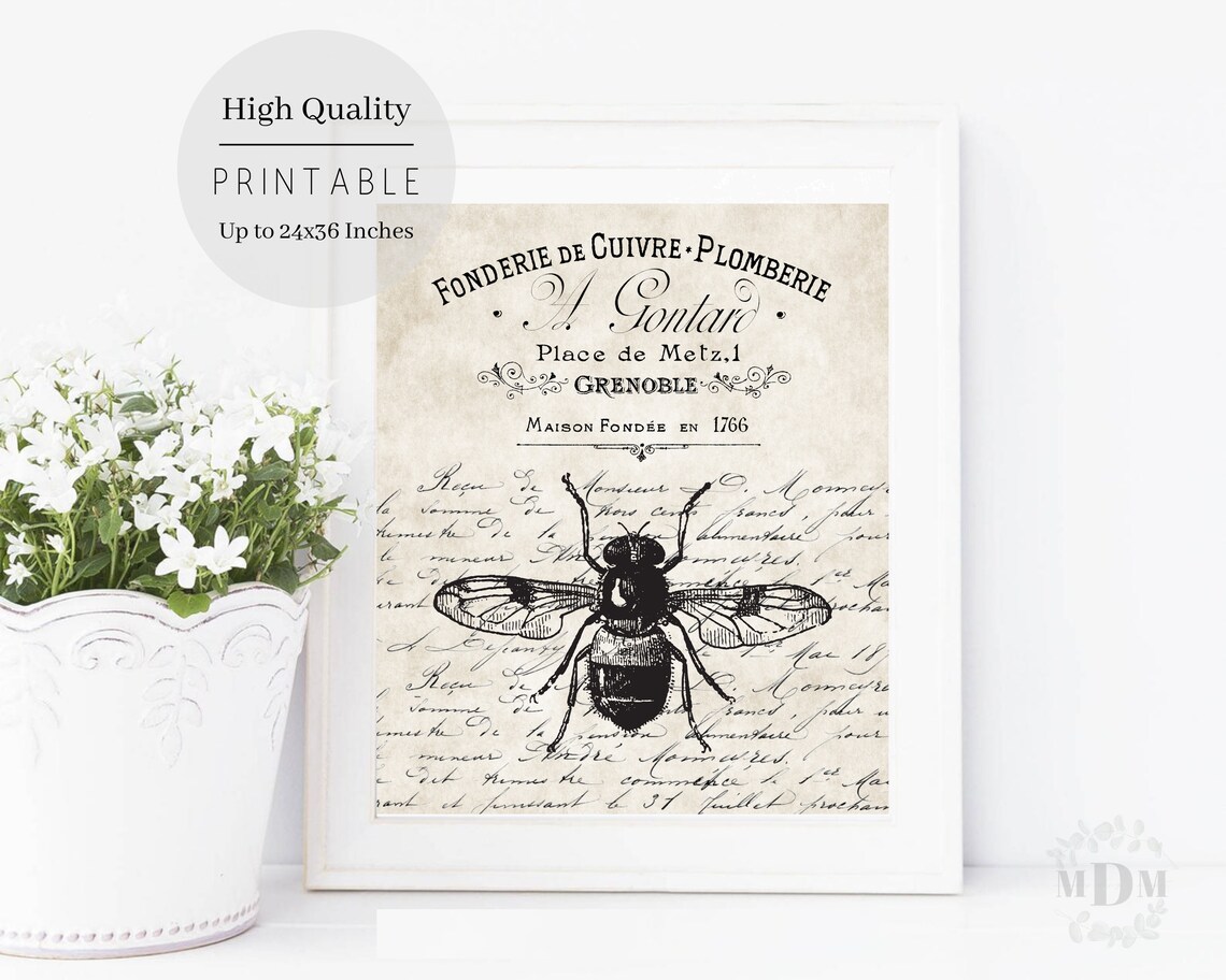 Black Bee French Typography Script Aged Parchment Vintage Wall Poster - Image 4