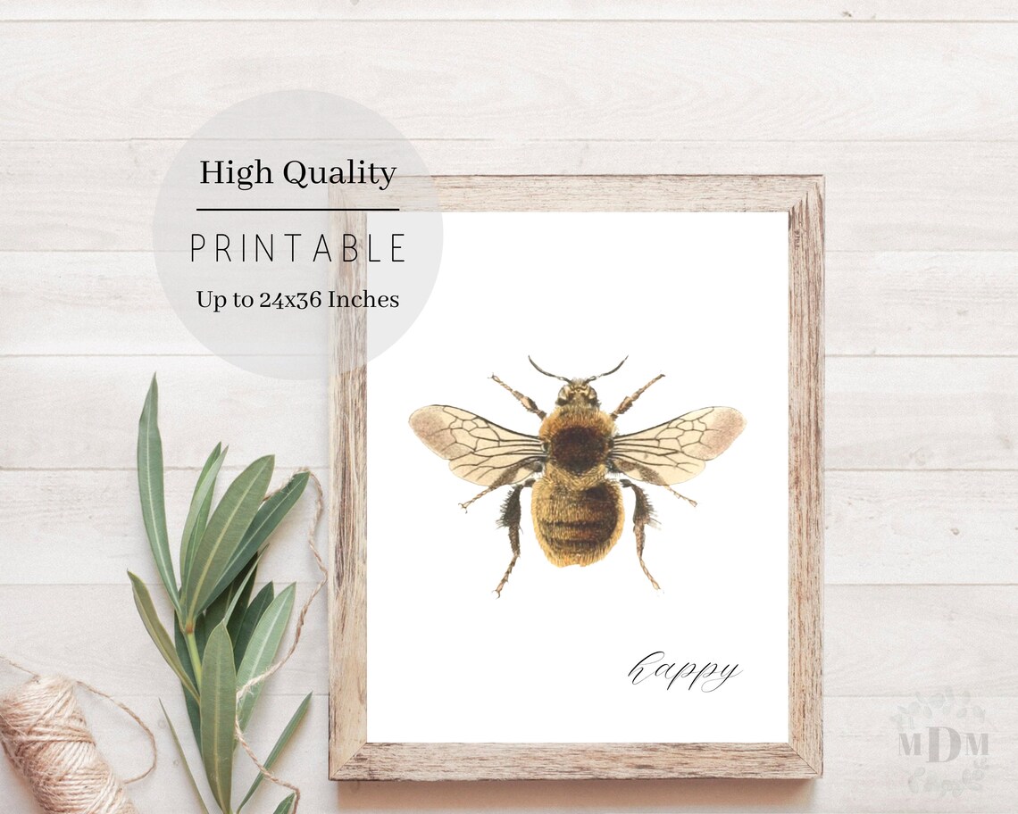 Vintage Bumble Bee Illustration Happy Script White Spring Wall Art Poster - Image 2