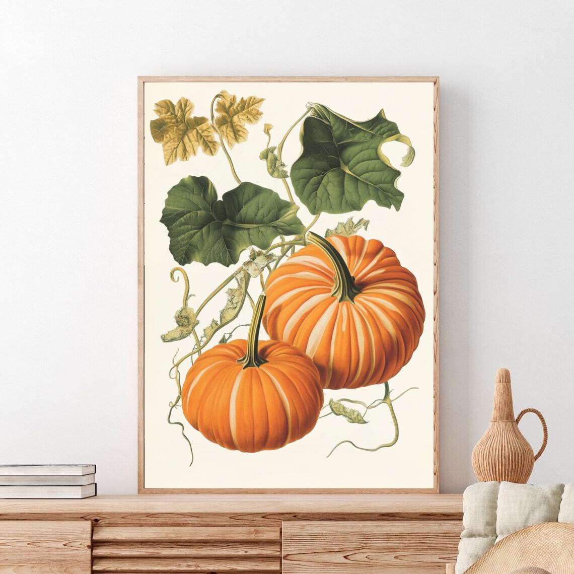 Striped Pumpkins Botanical Vines Vintage Autumn Art Illustration Poster - Image 4
