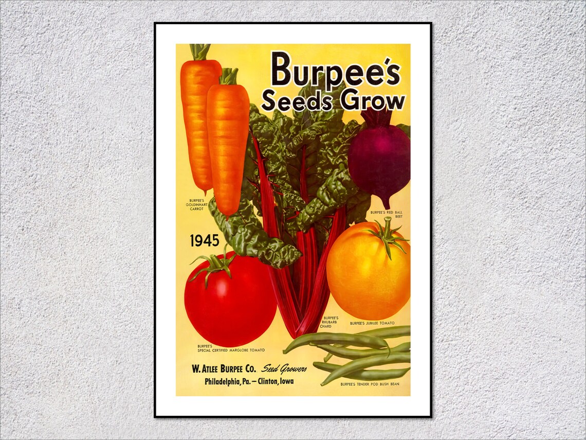 Antique Seed Packet Art Vintage Vegetable Poster 1945 Kitchen Wall Art Rustic Farmhouse Decor