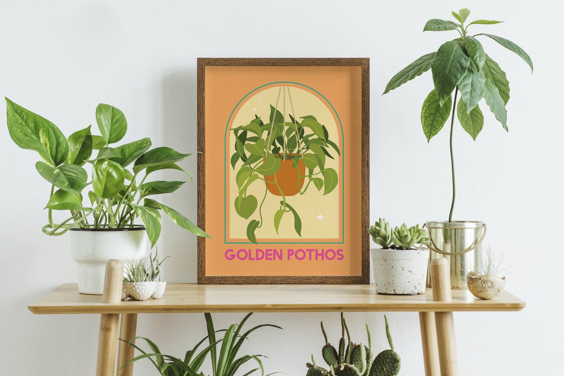 Golden Pothos Hanging Plant Orange Arch Botanical Illustration Poster - Image 5