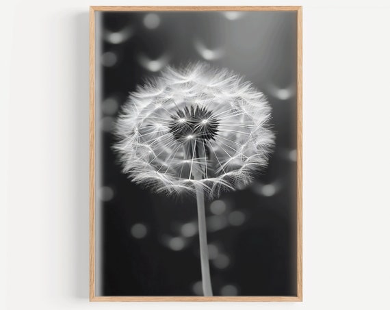 Dandelion Minimalist Poster, Botanical Wall Art