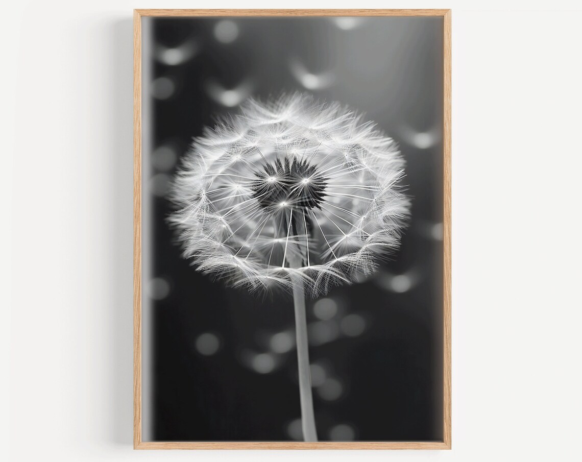 Dandelion Minimalist Poster, Botanical Wall Art