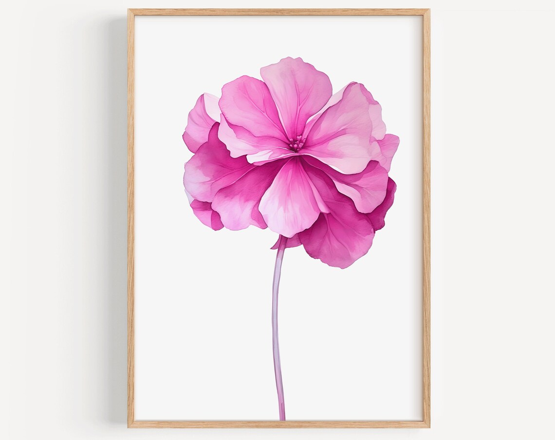 Single Magenta Hydrangea Watercolor Bloom Botanical Floral Poster