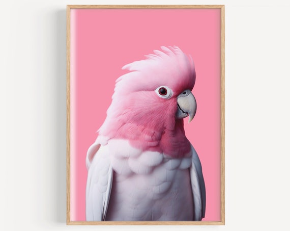 Pink Galah Bird Poster Print, Tropical Australia