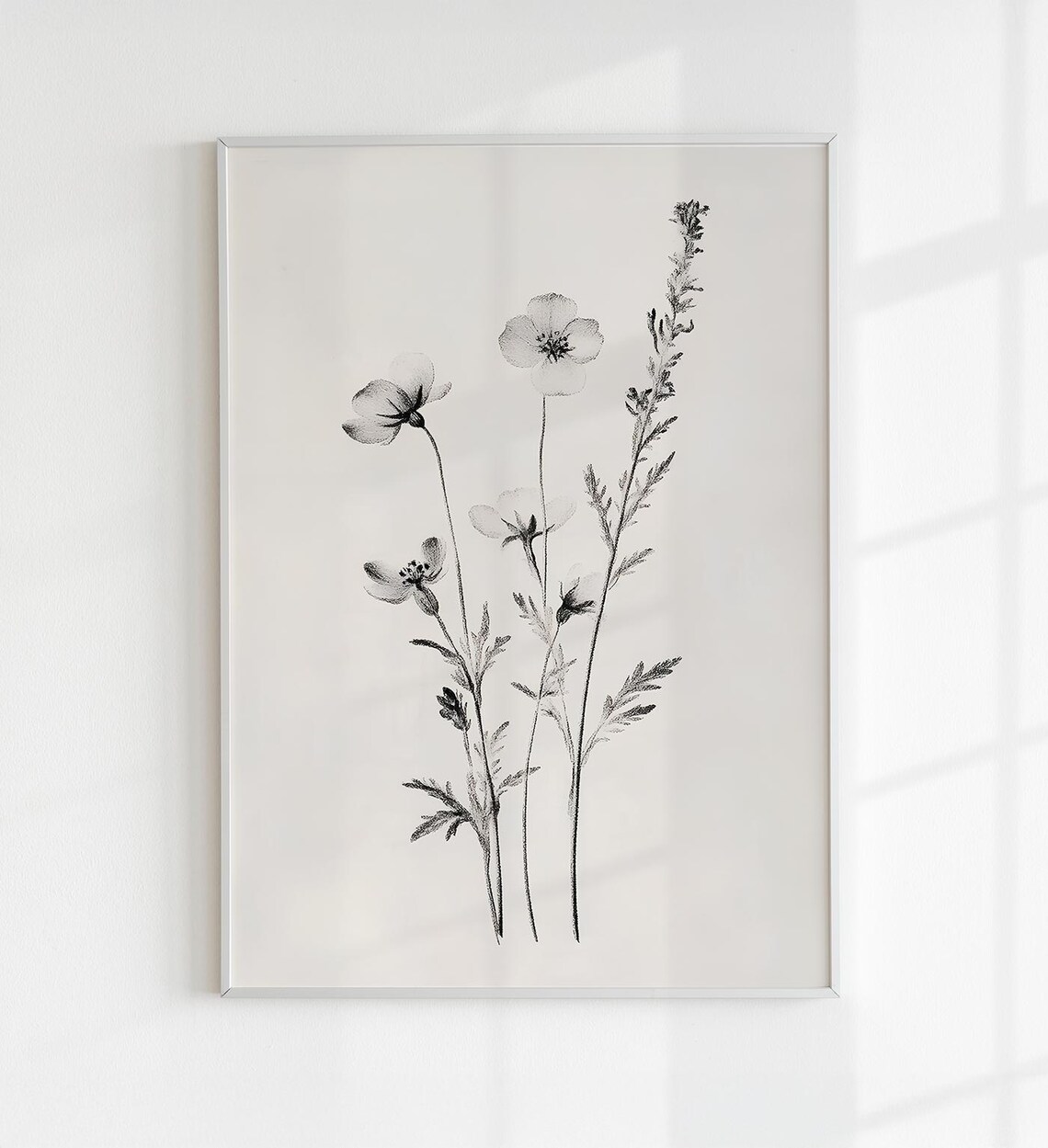 Black And White Botanical Wildflower Sketch Minimalist Art Print