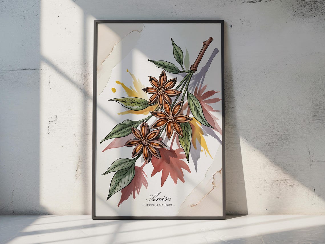 Anise Watercolor Botanical Spice Kitchen Herb Decor Wall Art Piece