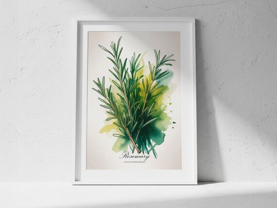 Rosemary Watercolor Art Print Botanical Kitchen Wall Decor