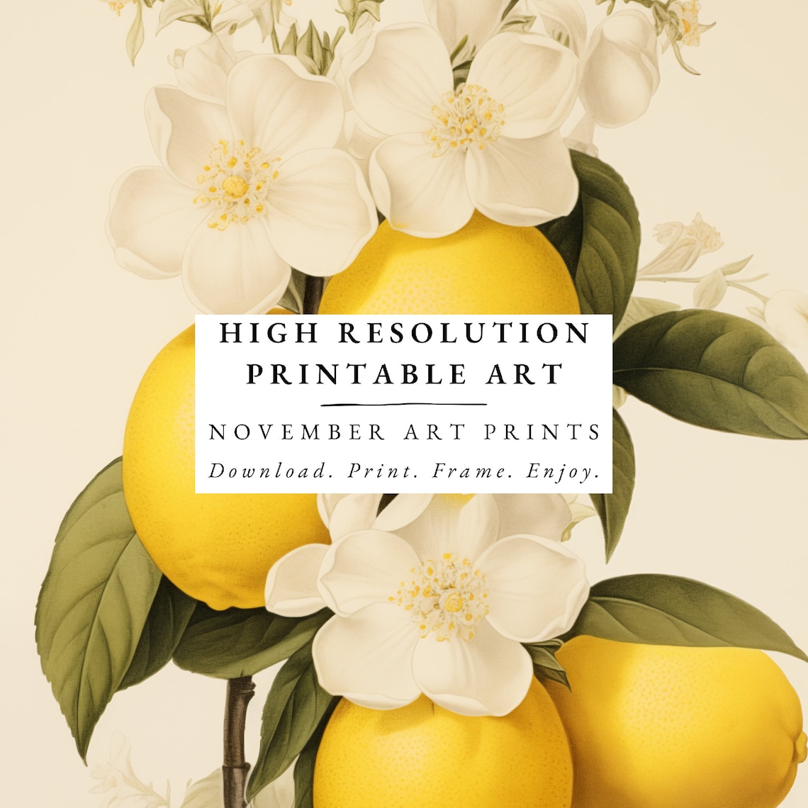 Vintage Citrus Print Set, Botanical Poster Print - Image 3
