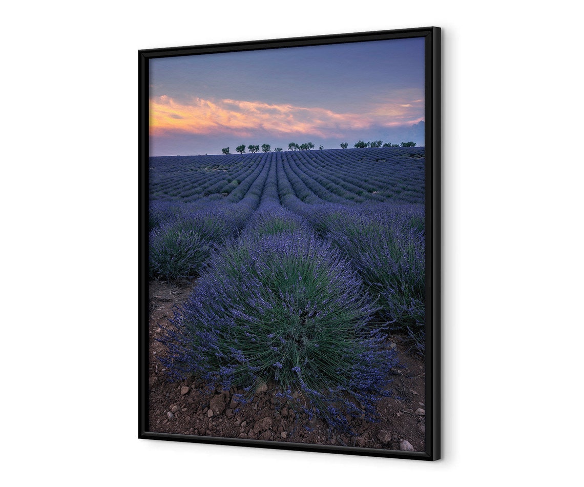 Lavender Field In The Evening Provence Premium Wall Picture With Wooden Frame France Art For Your Home Wall Decoration Living Room Bedroom - Image 4