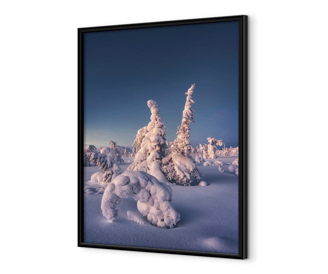 Lapland Winter Twilight Snow Covered Trees In Arctic Blue Light Poster - Image 4